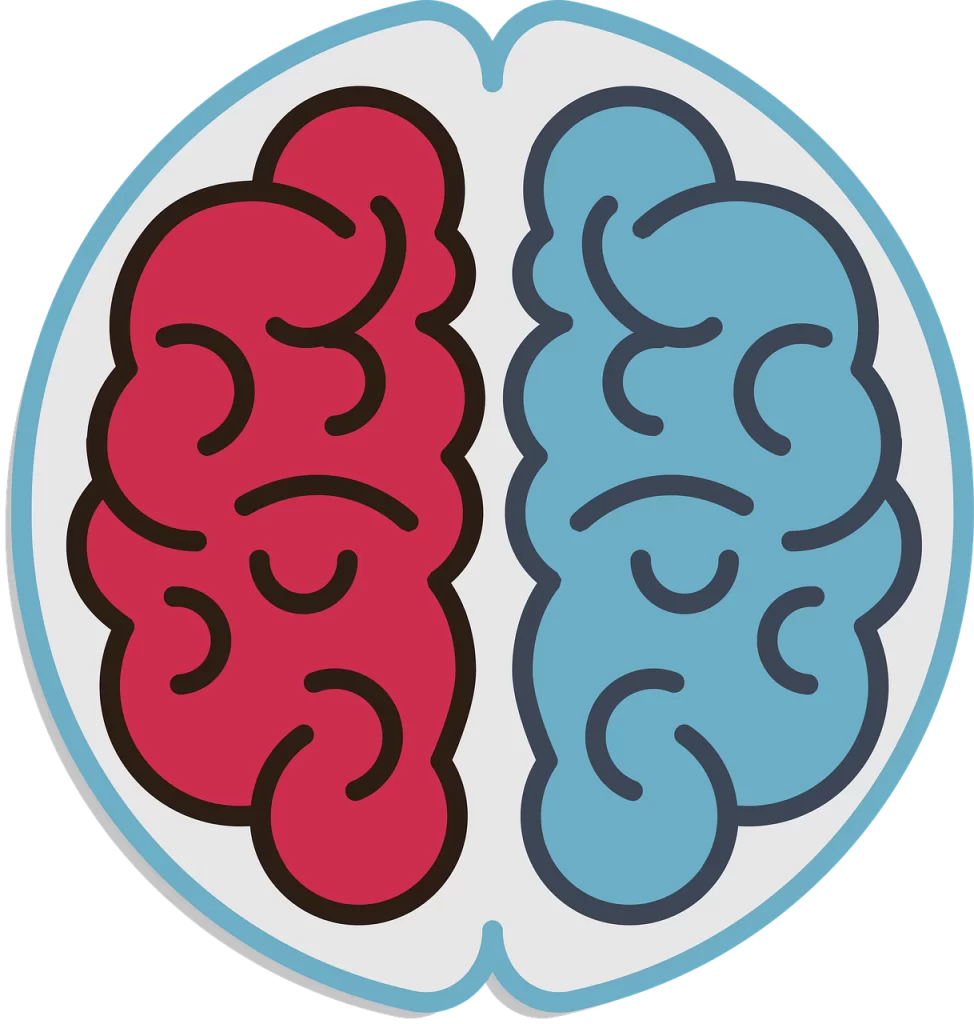 Dual left brain right brain thinking_the best value from an agency